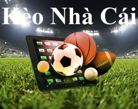 Yo88 Cổng game cá cược hot nhất hiện nay