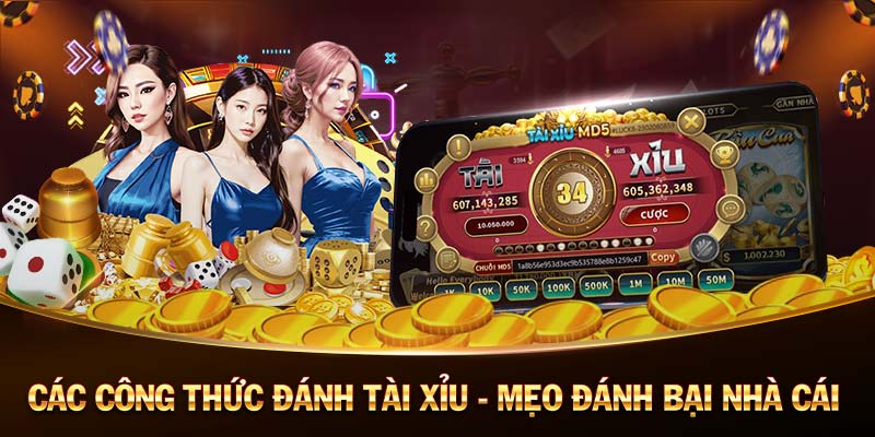 Đánh casino trên máy tính đang trở thành trào lưu - Xoso3mien